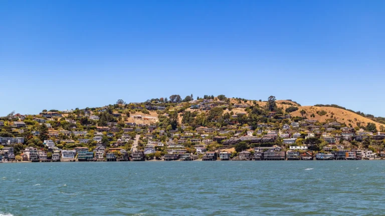 Hillside homes above the water on a sunny summer day in southern Marin