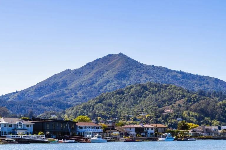 Waterfront homes with private docks and Mt. Tamalpais behind, Marin County
