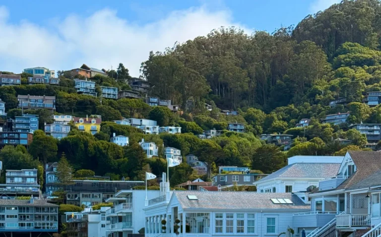 Hillside homes above the Sausalito waterfront on Bridgeway